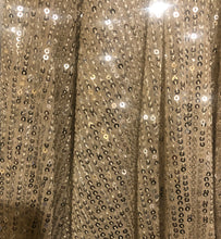 Load image into Gallery viewer, V-neck Balloon Sleeved Sequin Top